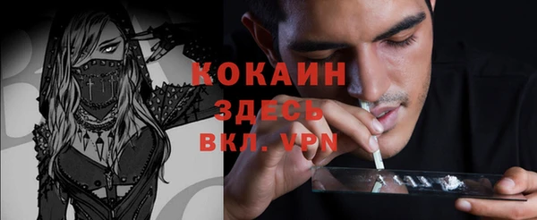 мет Арсеньев